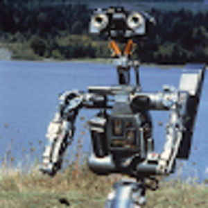 Meet your Posher, Cicily